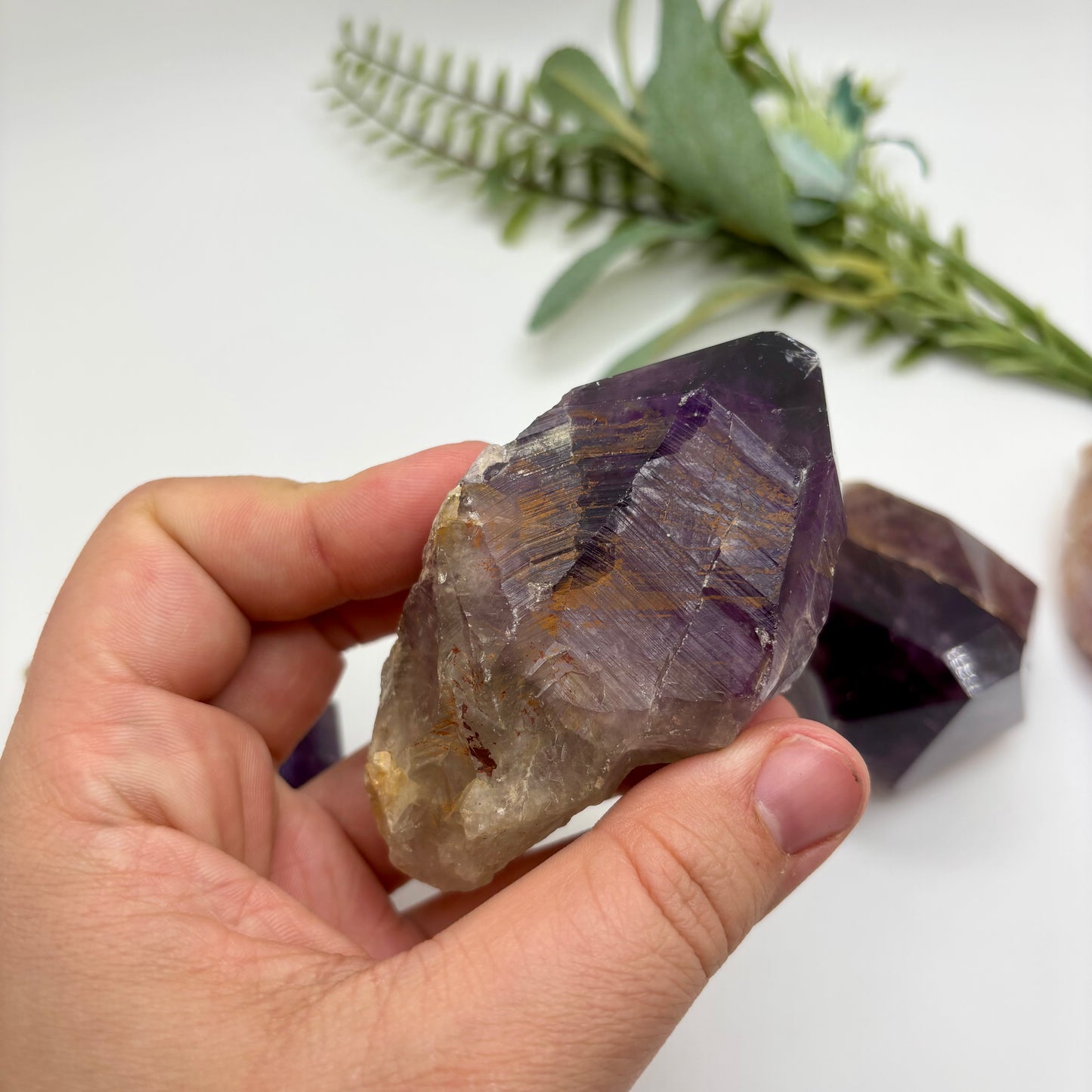 Amethyst Roots