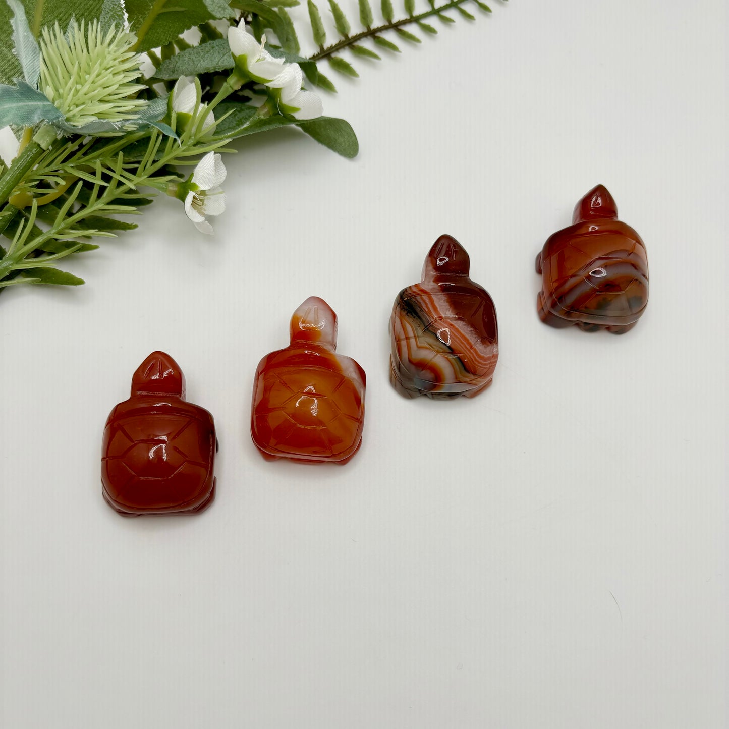 Carnelian Turtles