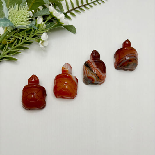 Carnelian Turtles