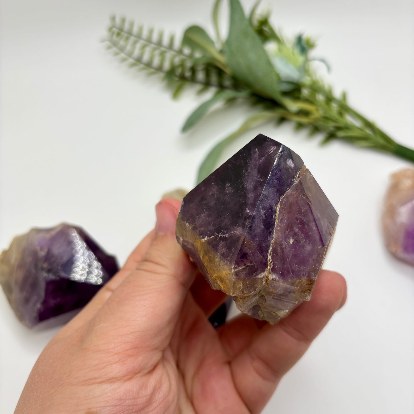 Amethyst Roots
