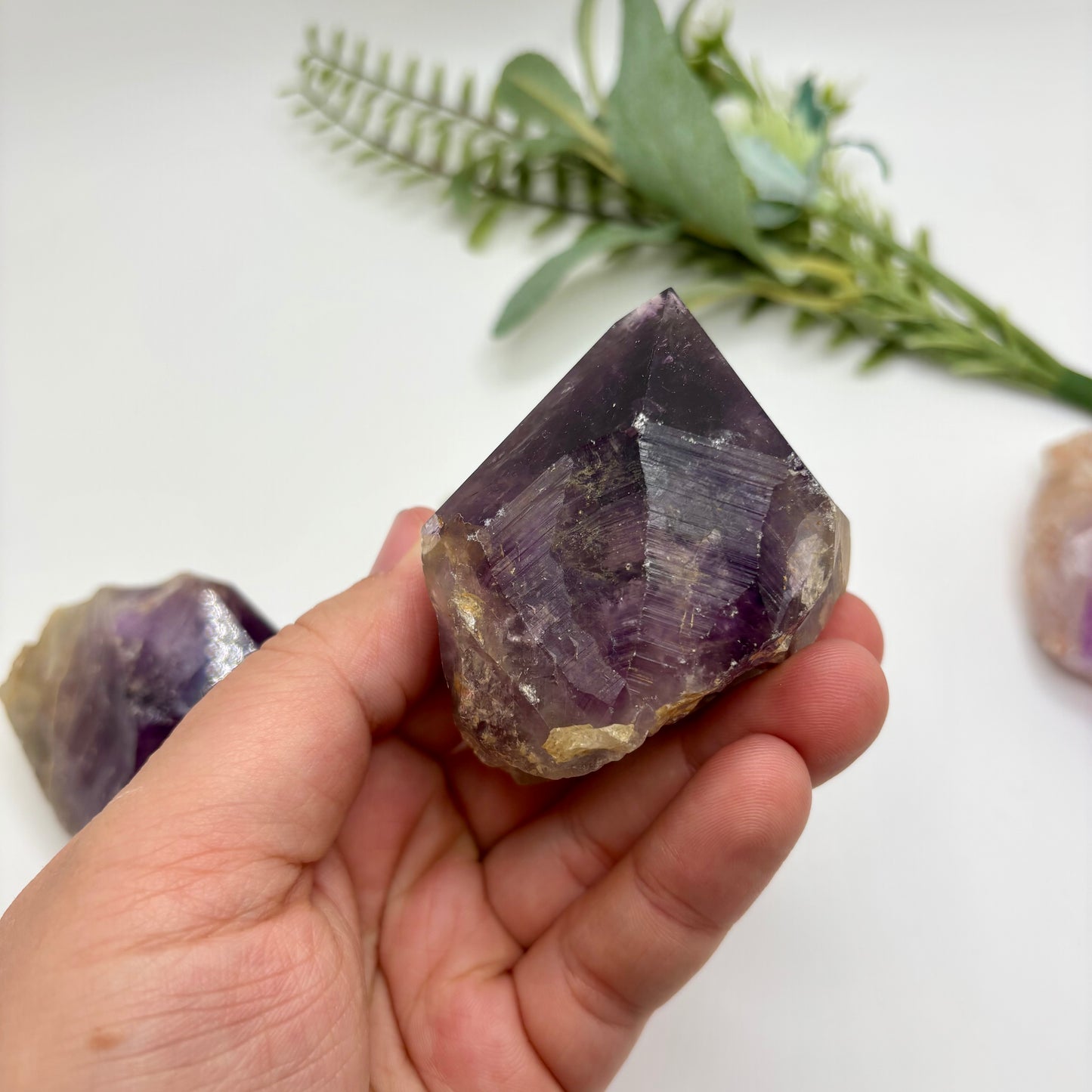 Amethyst Roots