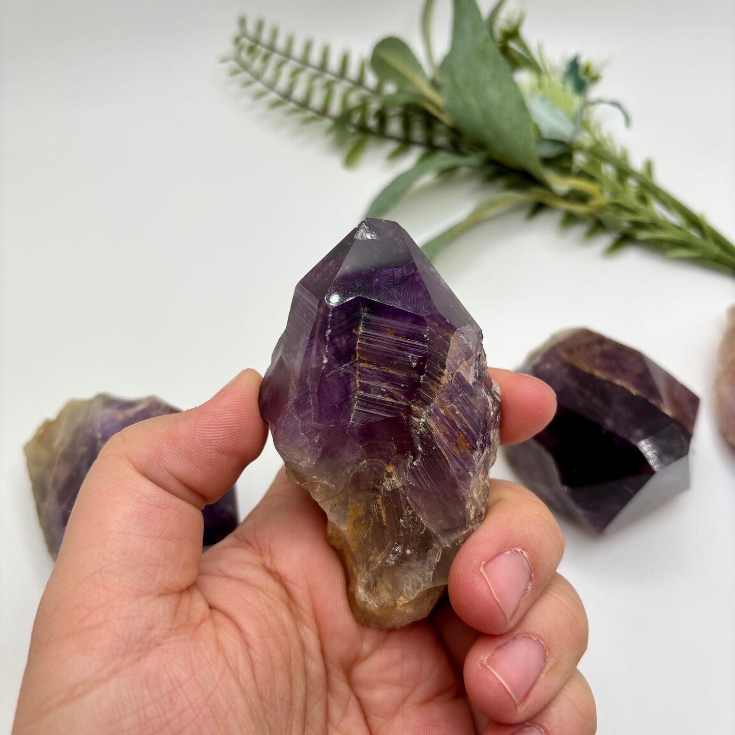 Amethyst Roots
