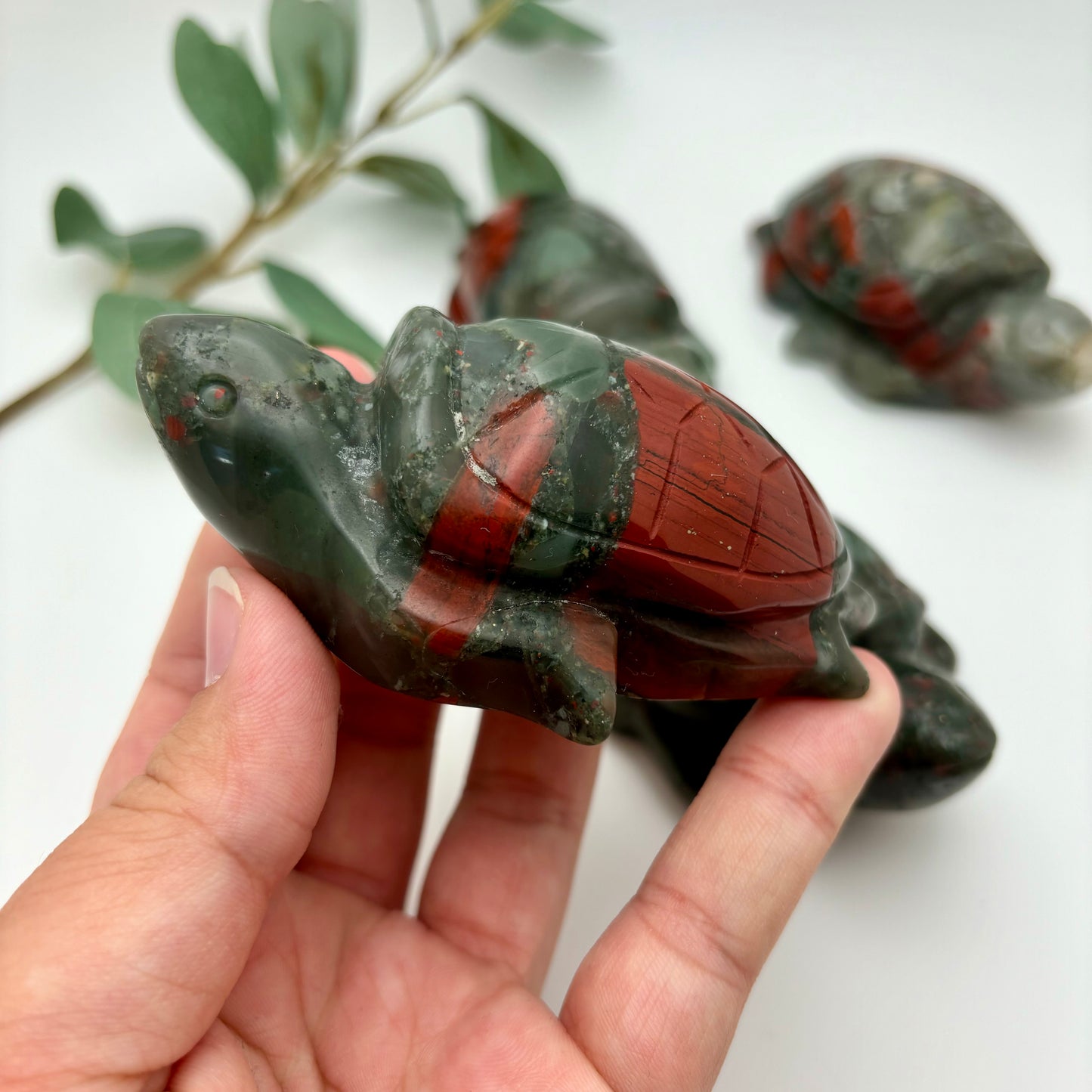 African Bloodstone Sea Turtles