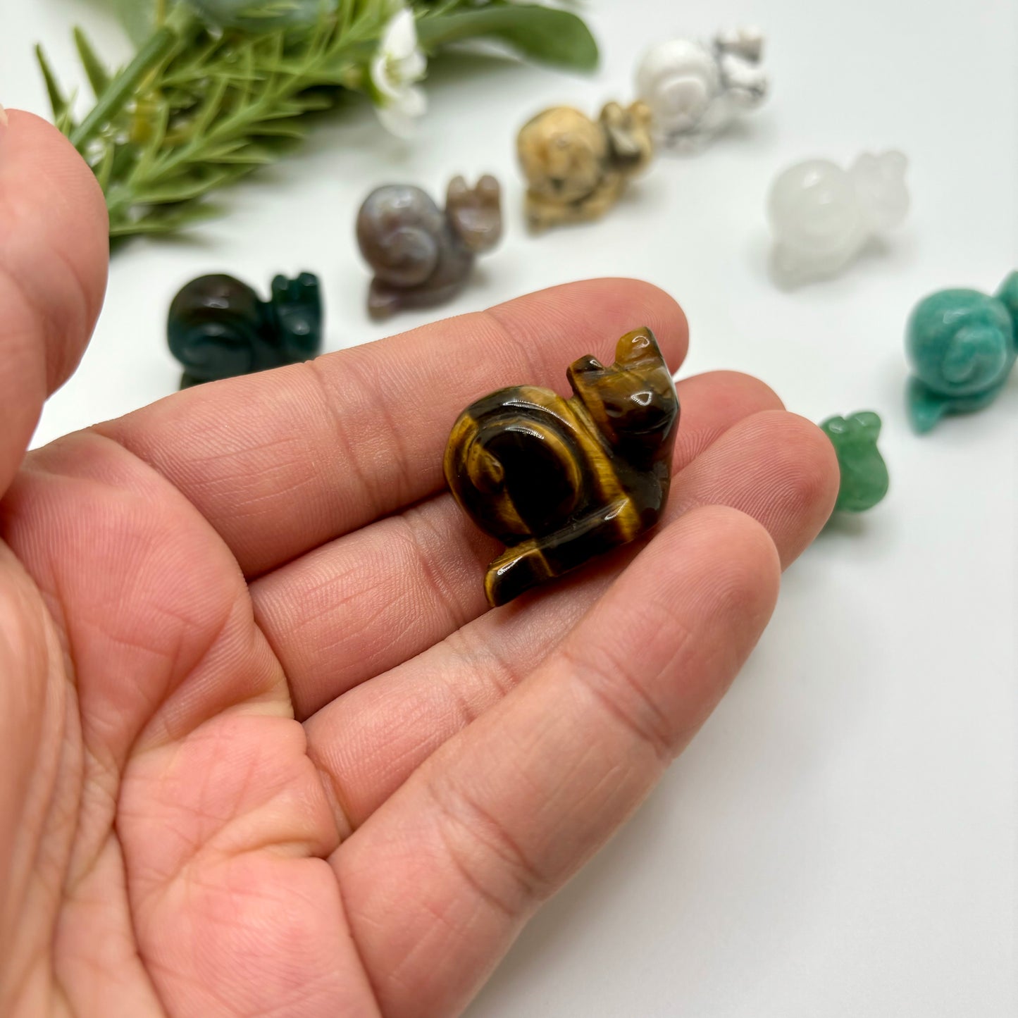 Mini Snails