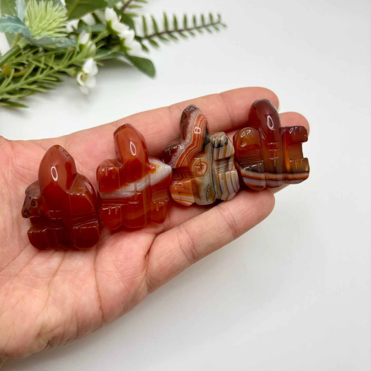 Carnelian Turtles