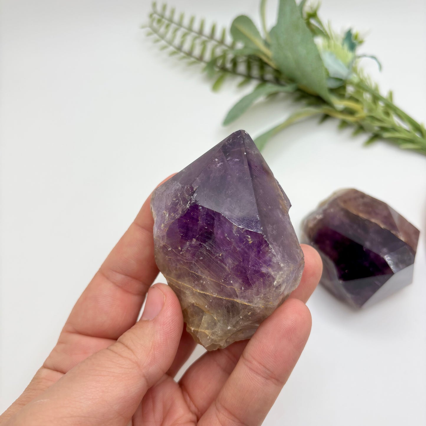 Amethyst Roots