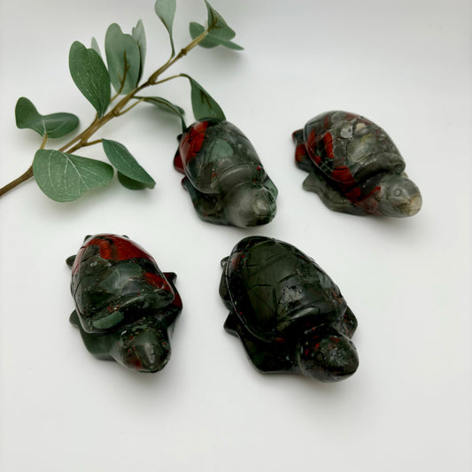 African Bloodstone Sea Turtles