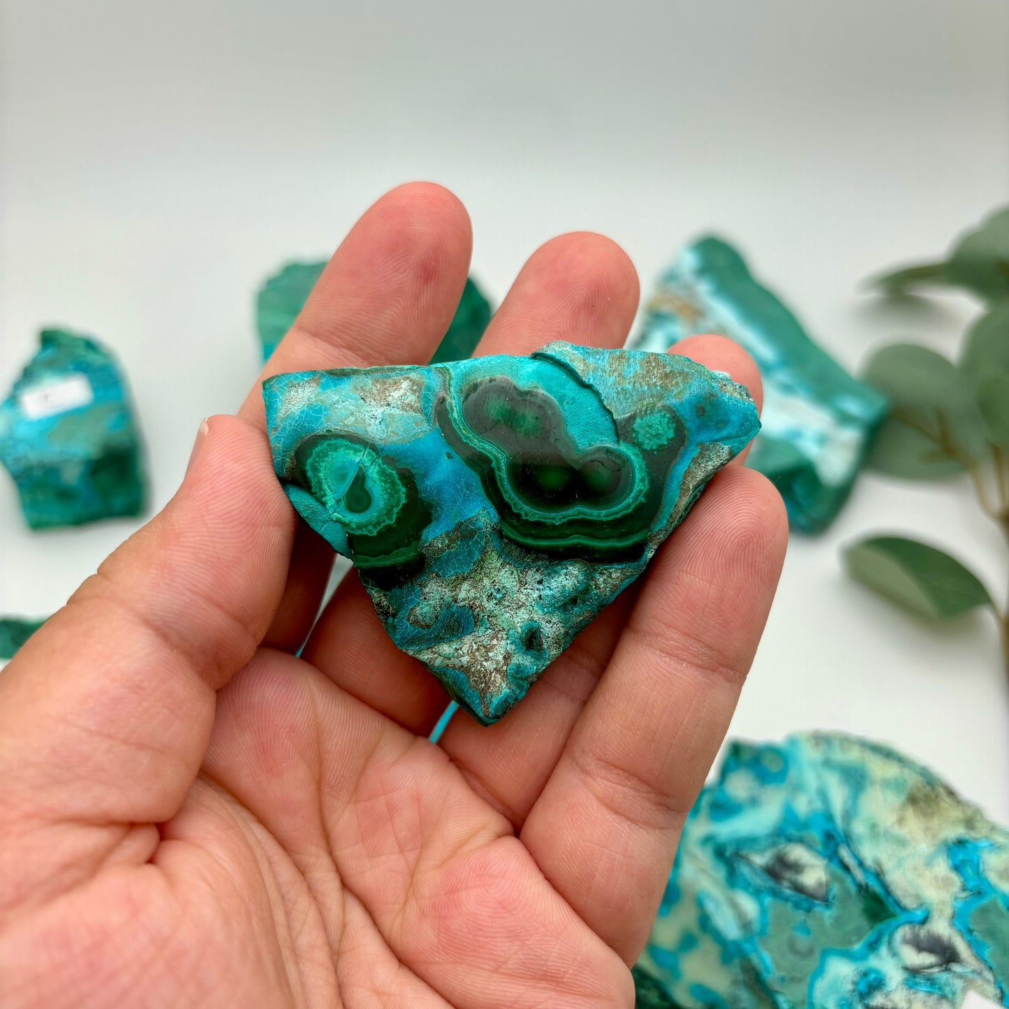 Chrysocolla Malachite Specimens