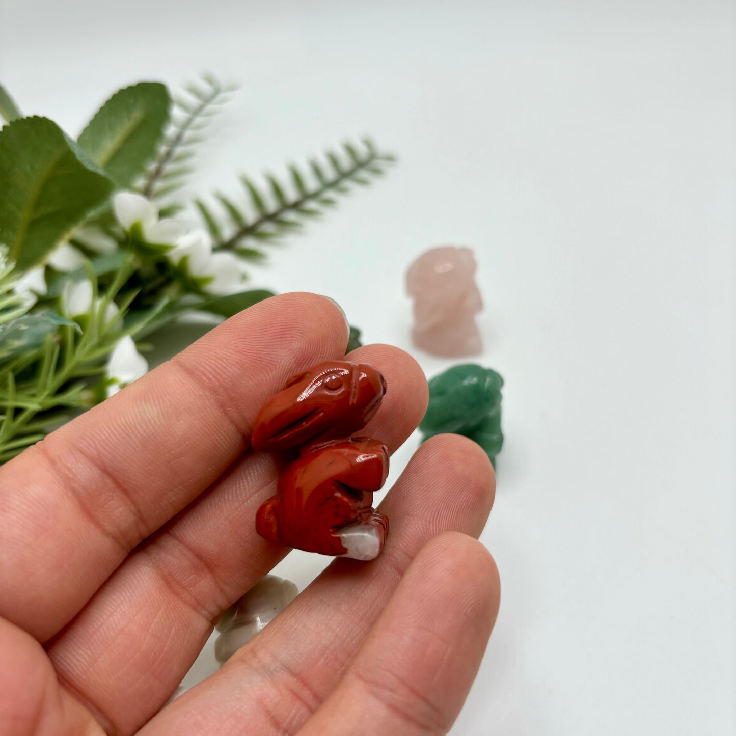 Mini Rabbits