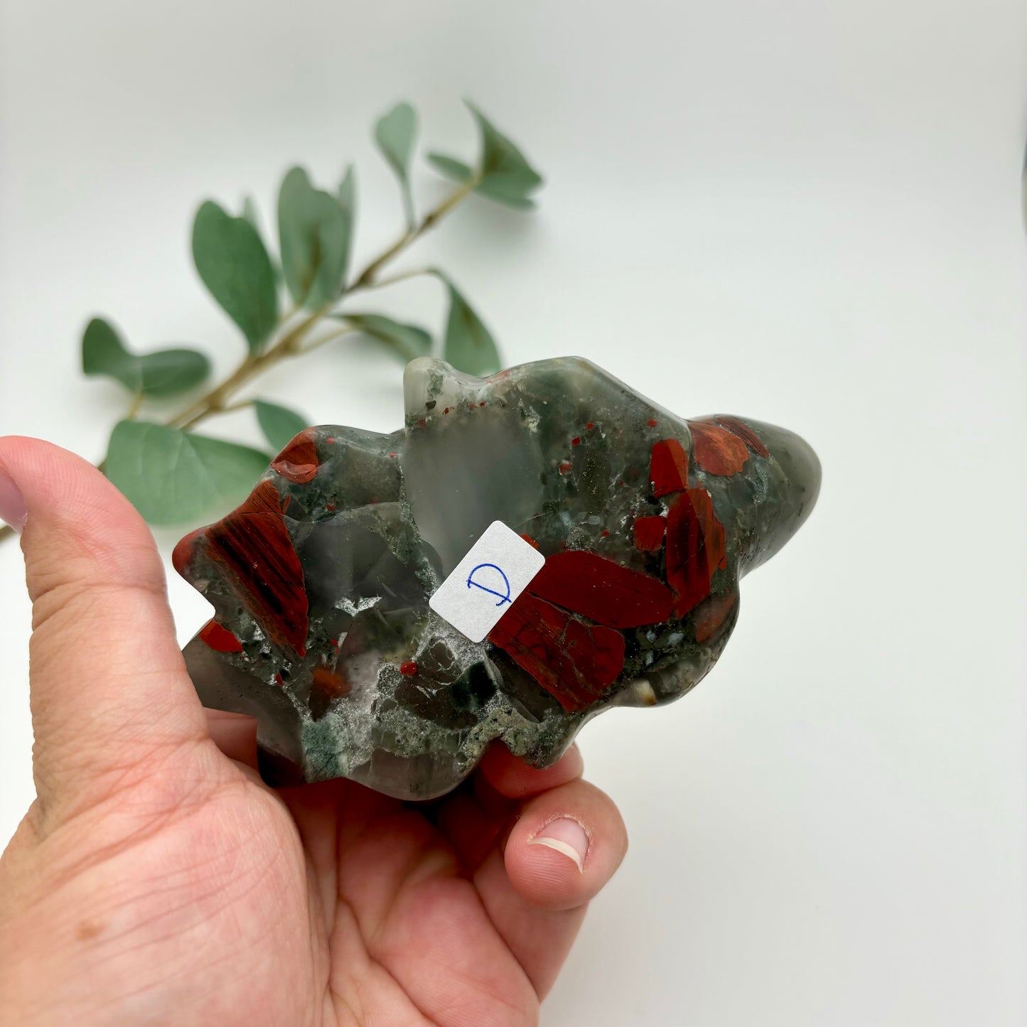 African Bloodstone Sea Turtles