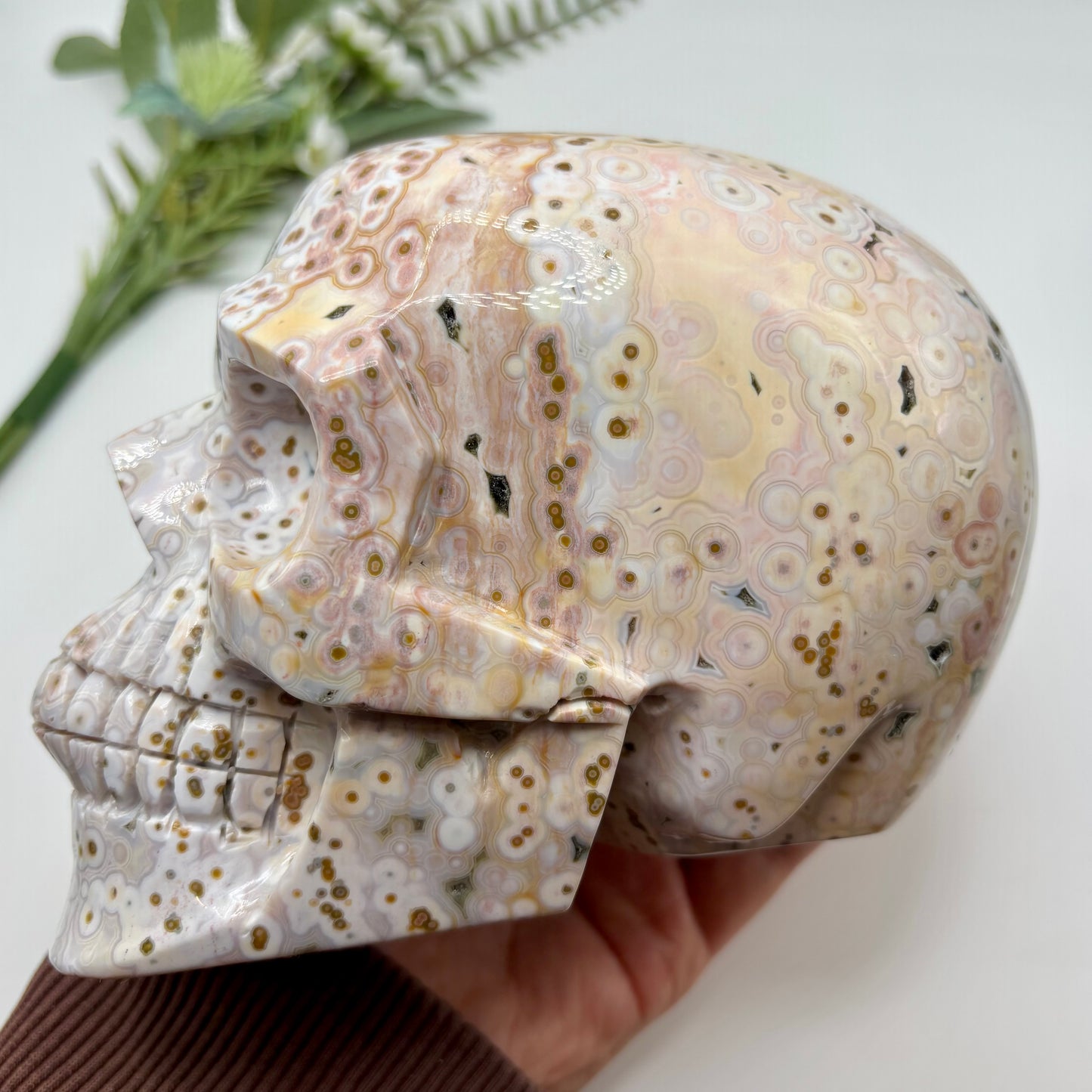 XL Morovato Ocean Jasper Skull