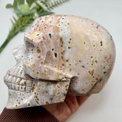 XL Morovato Ocean Jasper Skull