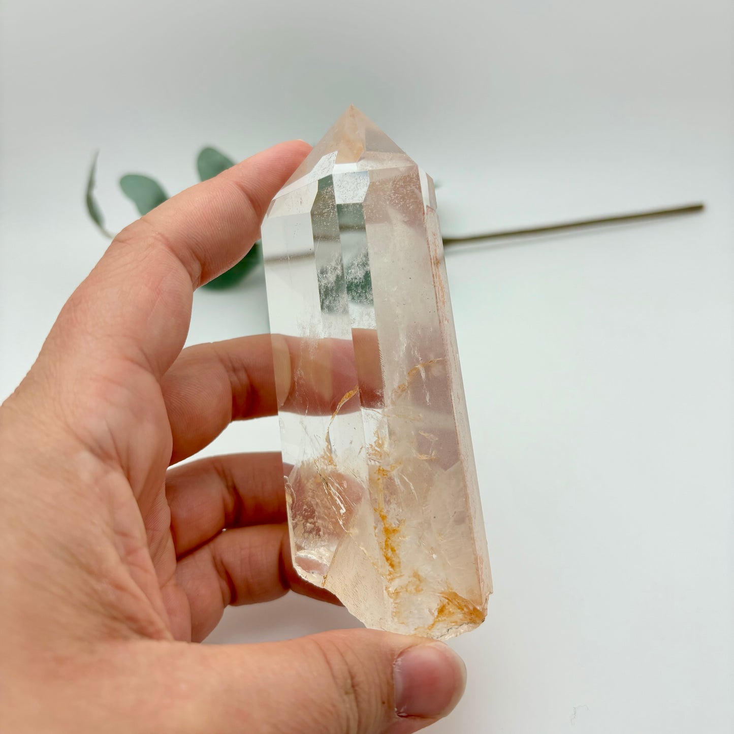 HQ Clear Quartz Points in Custom Stands