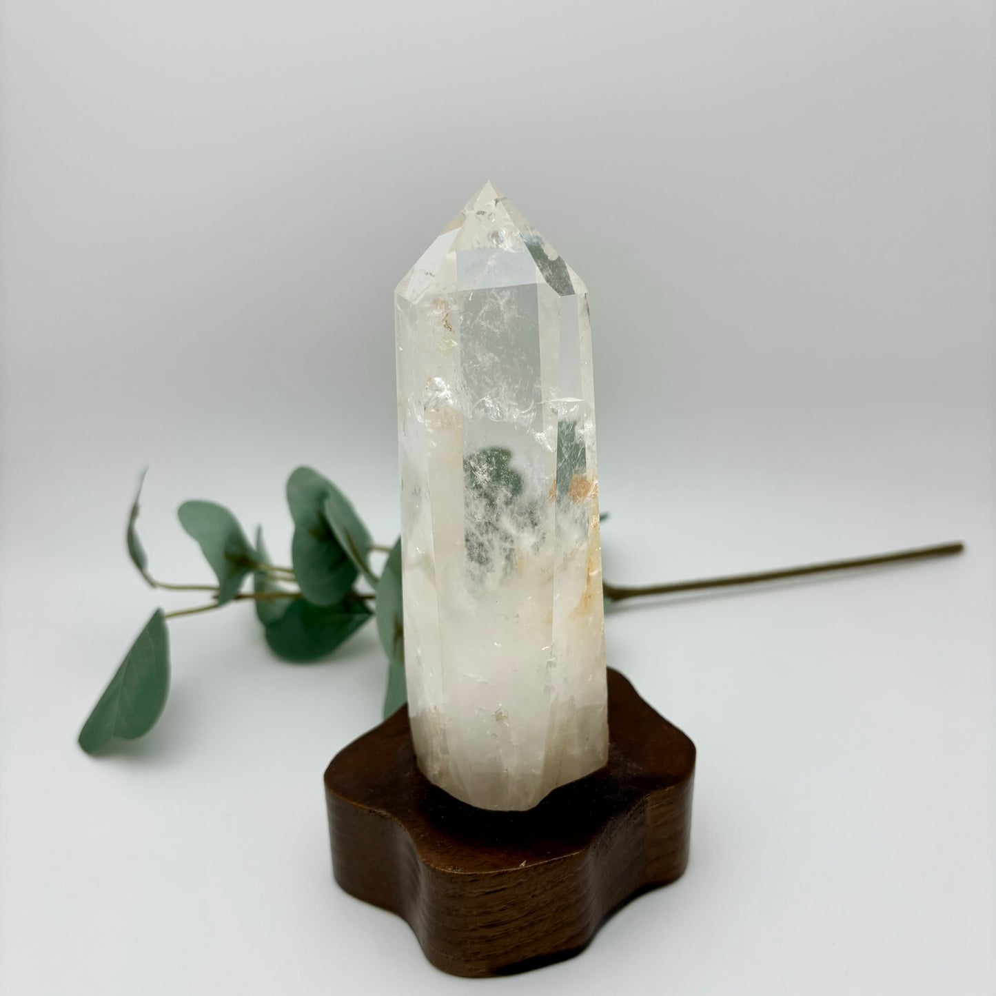 HQ Clear Quartz Points in Custom Stands
