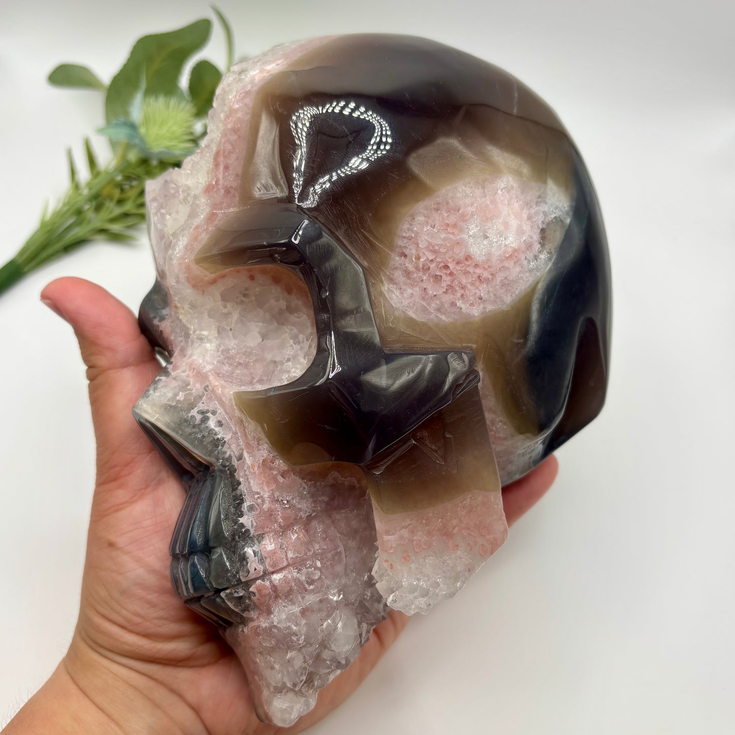 XXL Quartz in Agate Skull