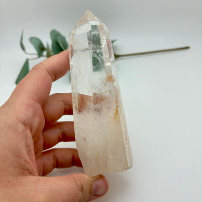 HQ Clear Quartz Points in Custom Stands