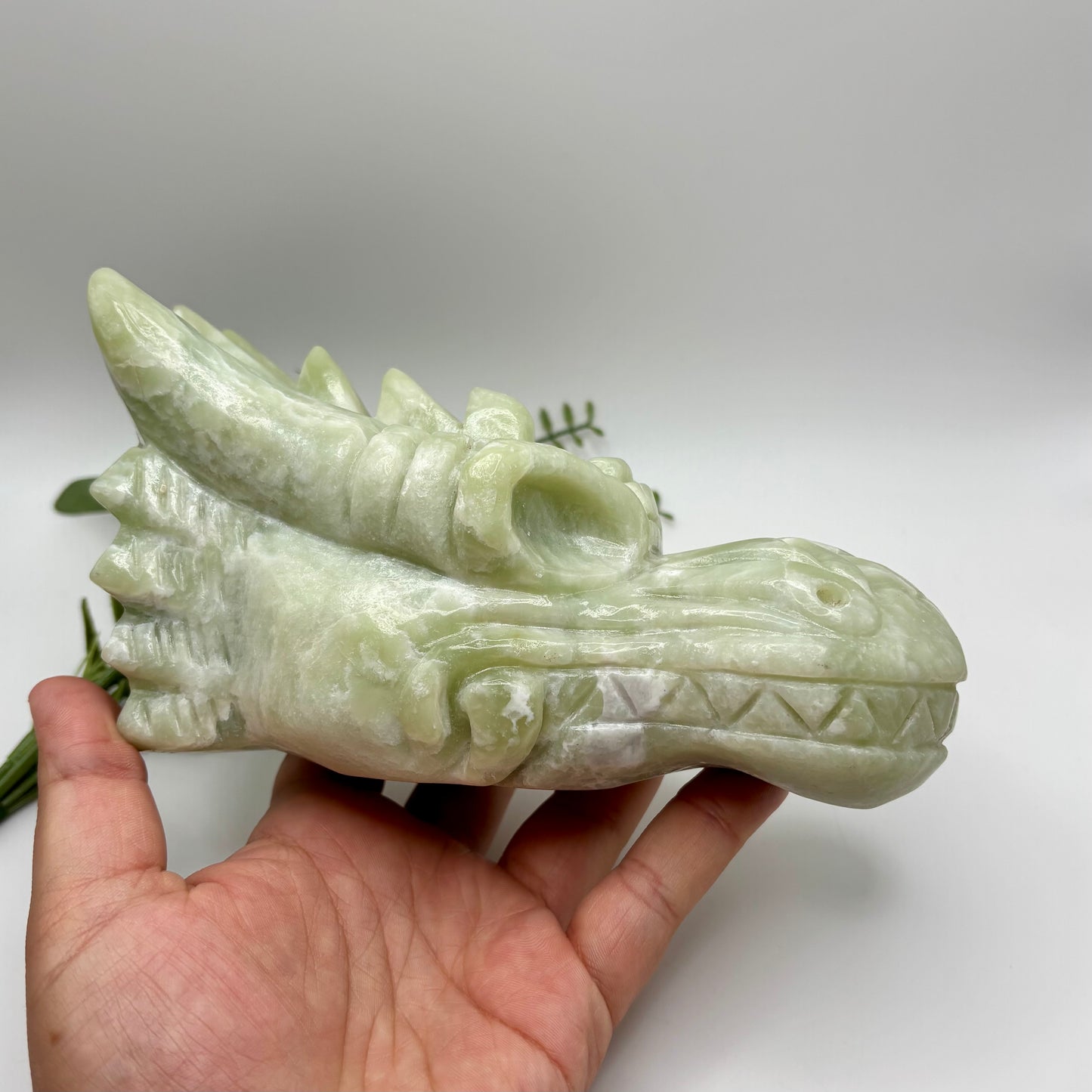 XL Jade Dragon Head
