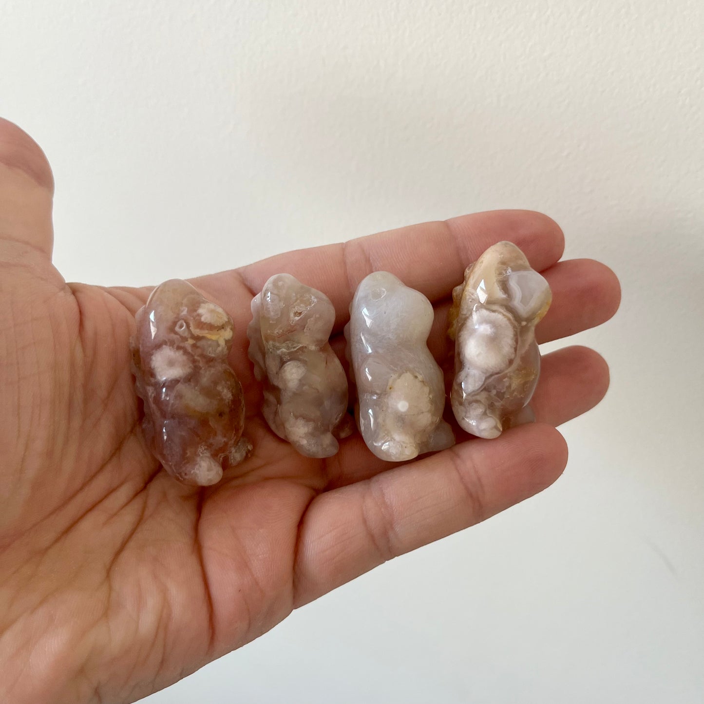 Flower Agate Chubby Dinos