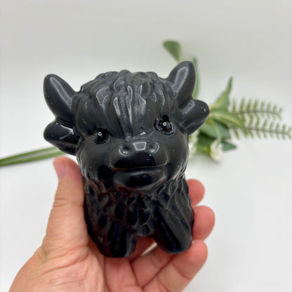 Highland Cows (XL)