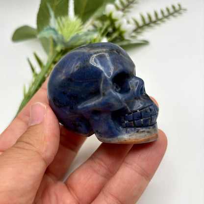 Sodalite Skulls