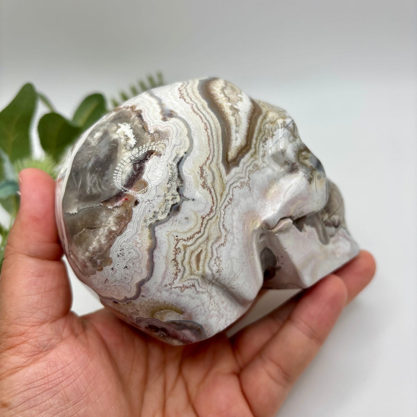 XL Mexican Crazy Lace Agate Skull