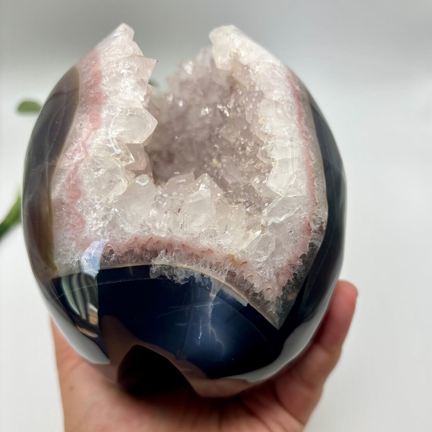XXL Quartz in Agate Skull