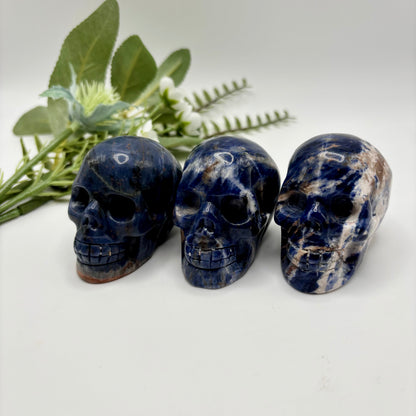 Sodalite Skulls