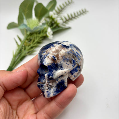 Sodalite Skulls