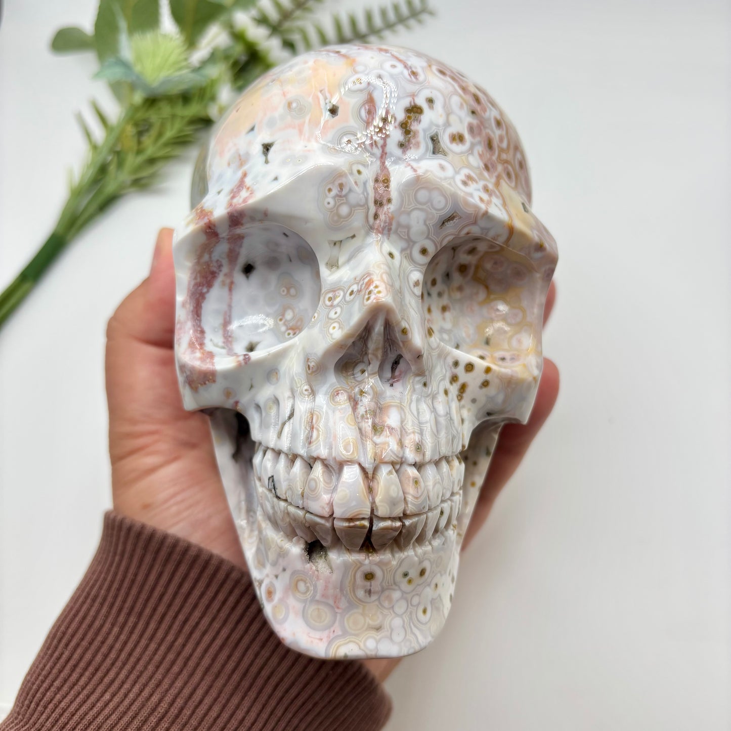 XL Morovato Ocean Jasper Skull