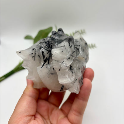 Black Tourmaline in Quartz Dragon Heads