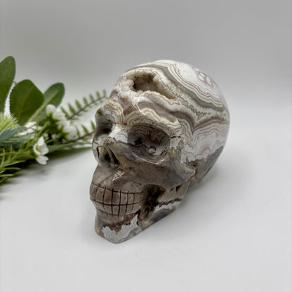 XL Mexican Crazy Lace Agate Skull