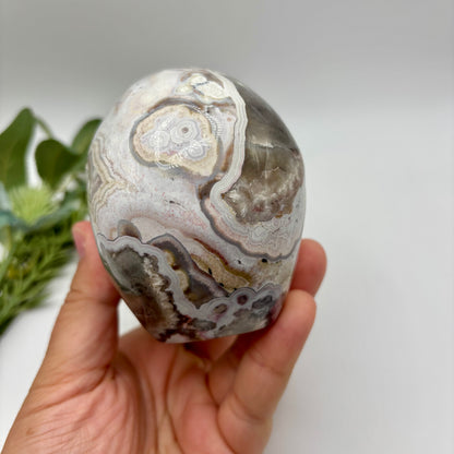 XL Mexican Crazy Lace Agate Skull