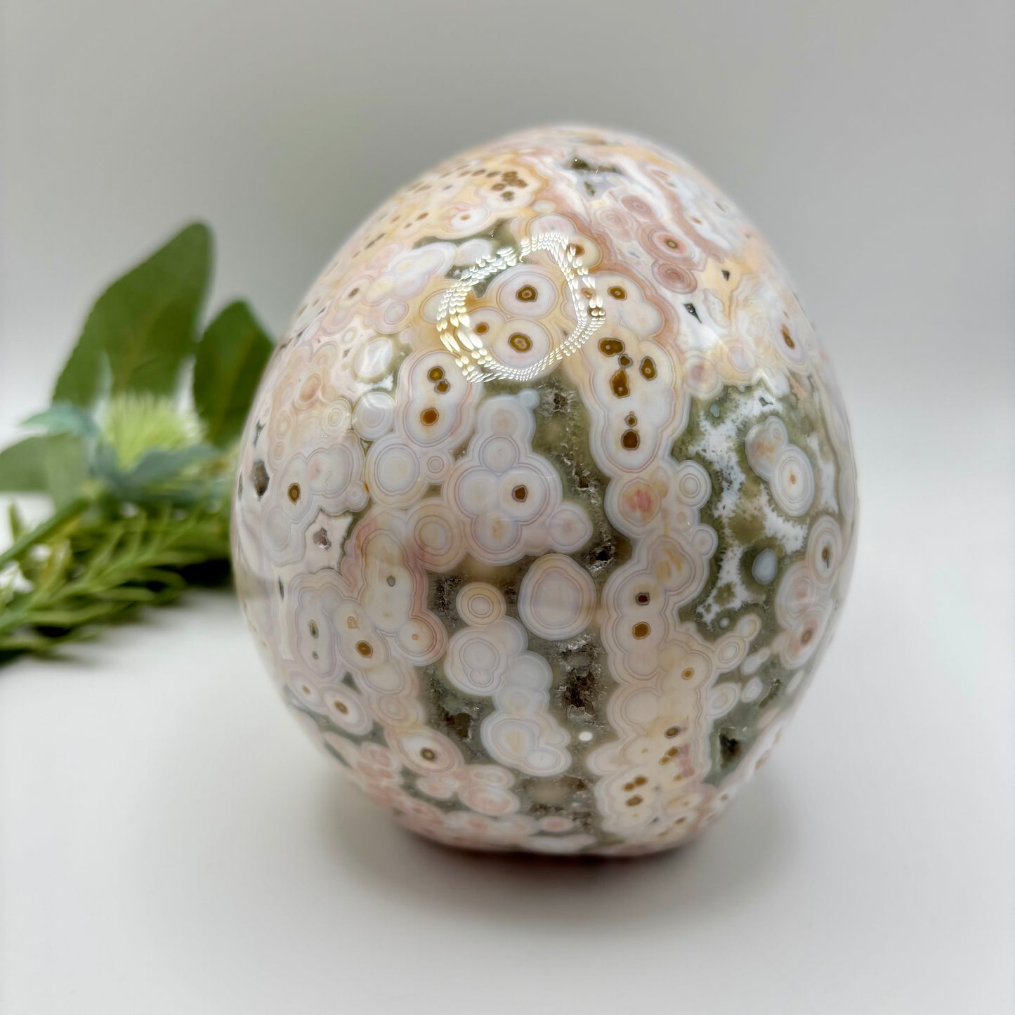 XL Morovato Ocean Jasper Skull