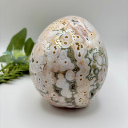 XL Morovato Ocean Jasper Skull