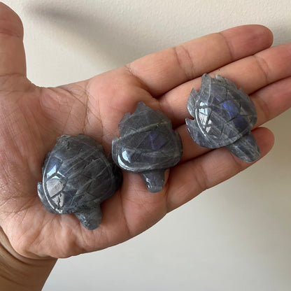 Purple Labradorite Sea Turtles