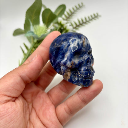 Sodalite Skulls