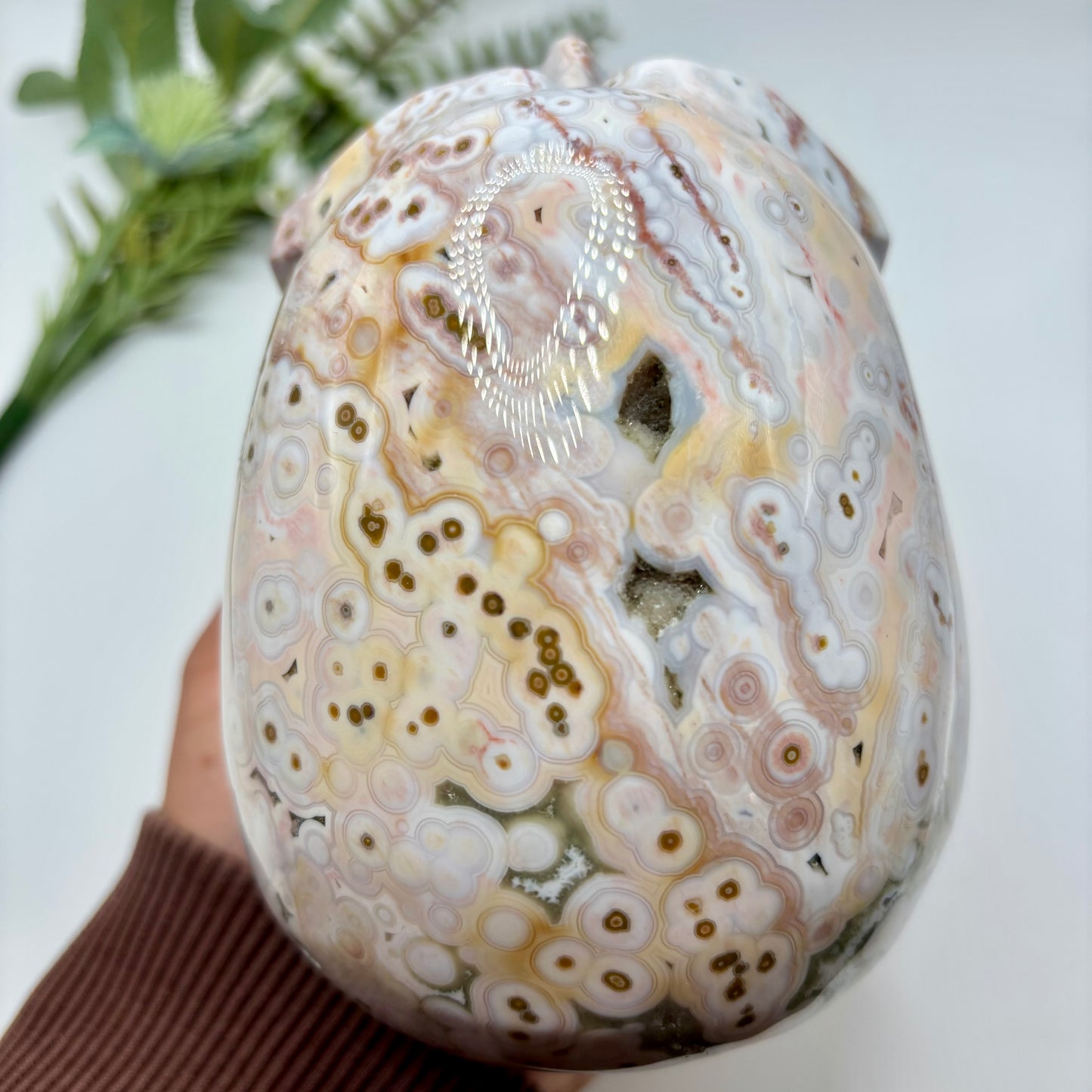 XL Morovato Ocean Jasper Skull