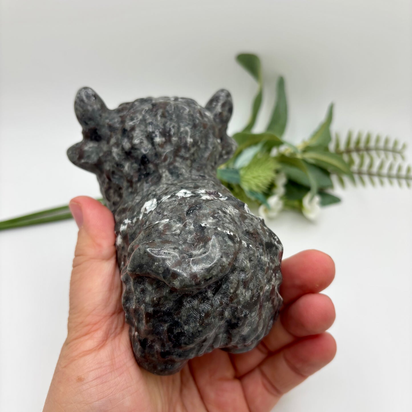 Highland Cows (XL)