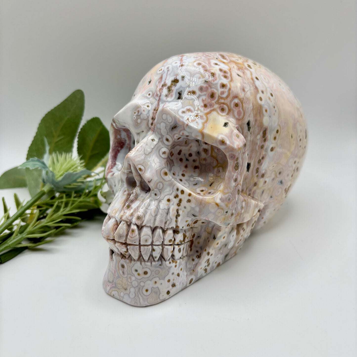 XL Morovato Ocean Jasper Skull