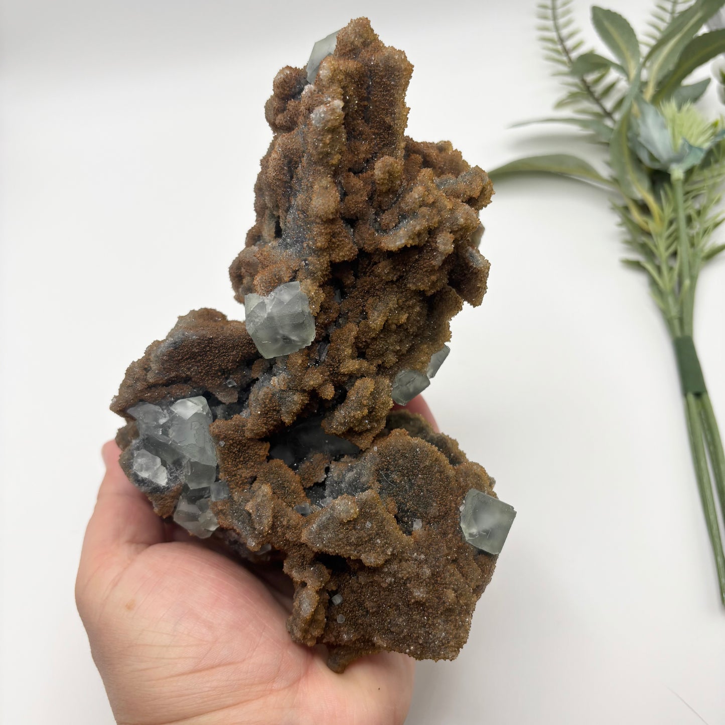 Cubic Fluorite on Sphalerite Specimen