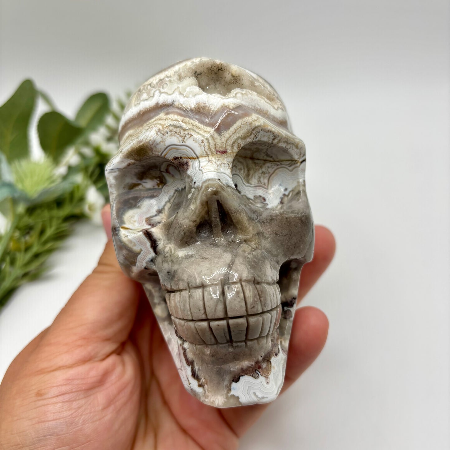 XL Mexican Crazy Lace Agate Skull