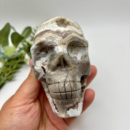 XL Mexican Crazy Lace Agate Skull