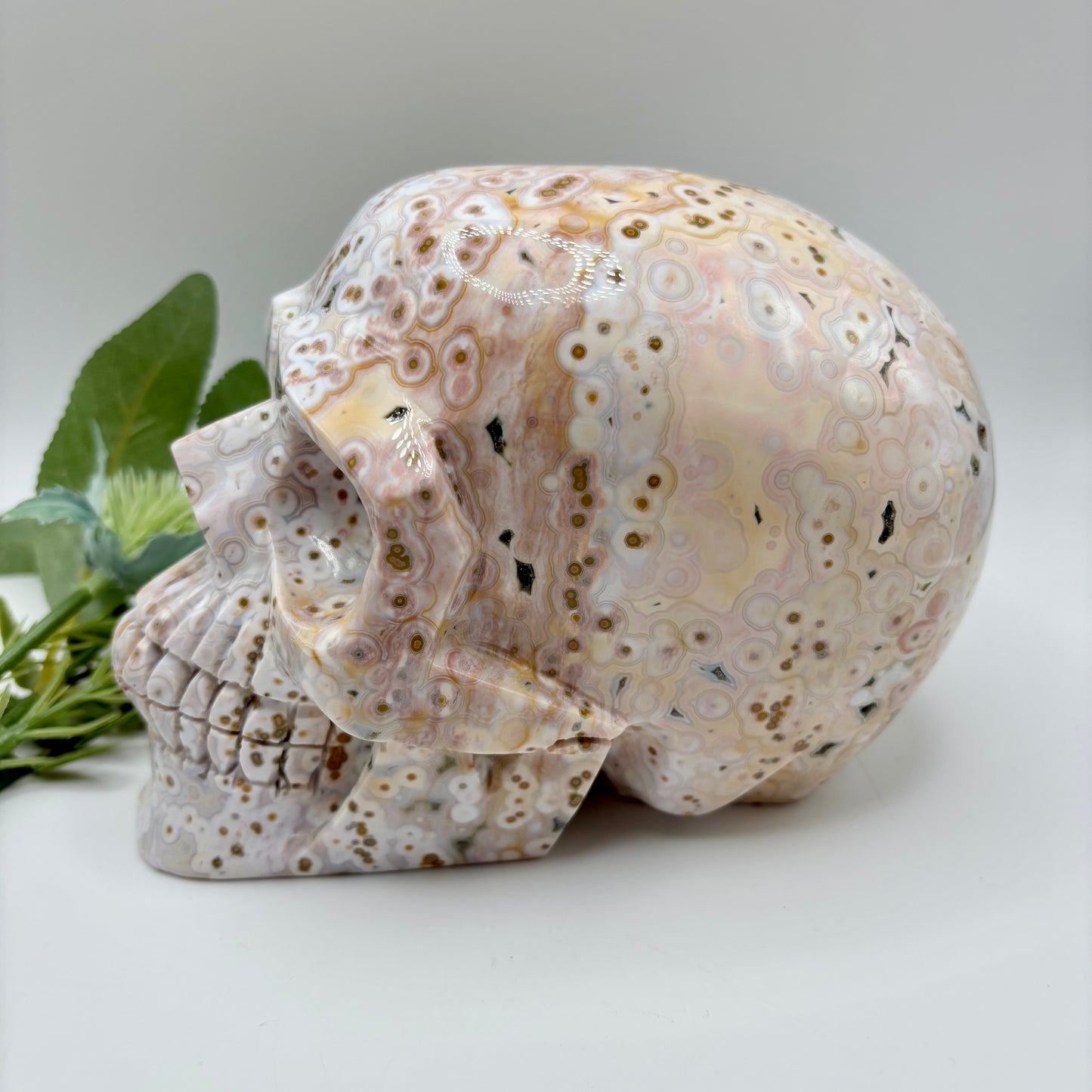 XL Morovato Ocean Jasper Skull
