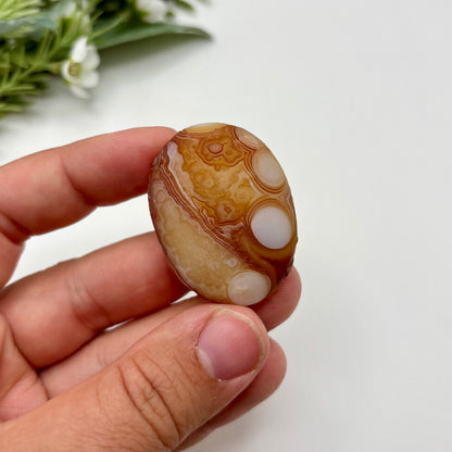 Gobi Agates (Medium)