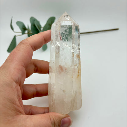 HQ Clear Quartz Points in Custom Stands