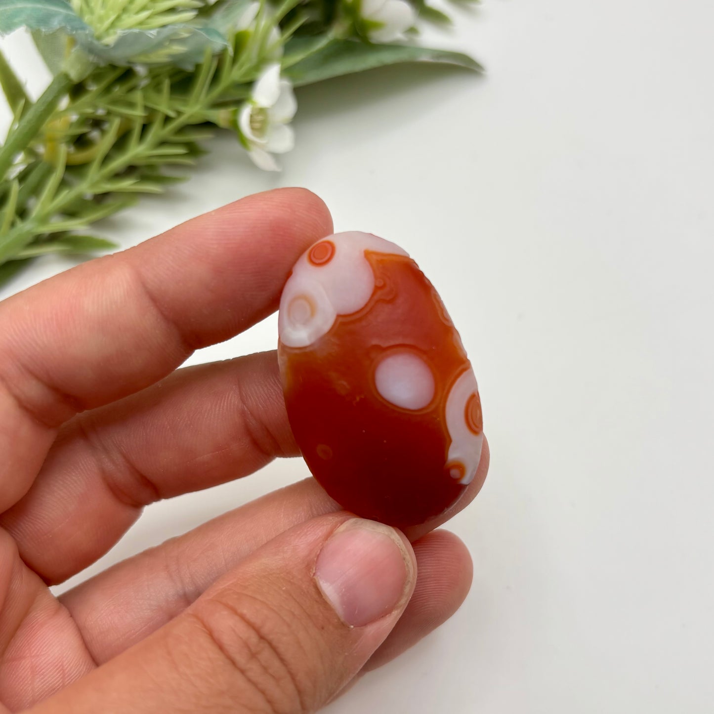 Gobi Agates (Medium)