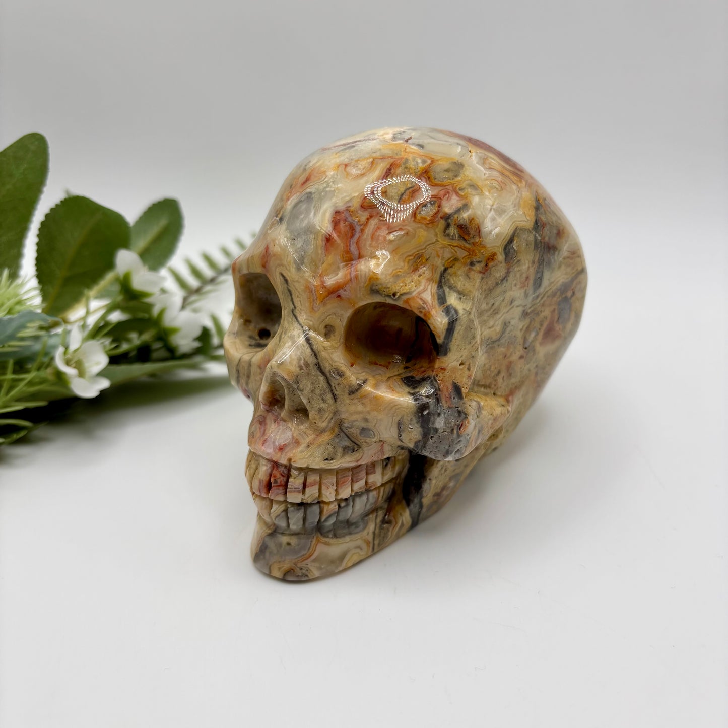 XL Crazy Lace Agate Skull