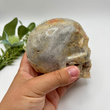 XL Crazy Lace Agate Skull