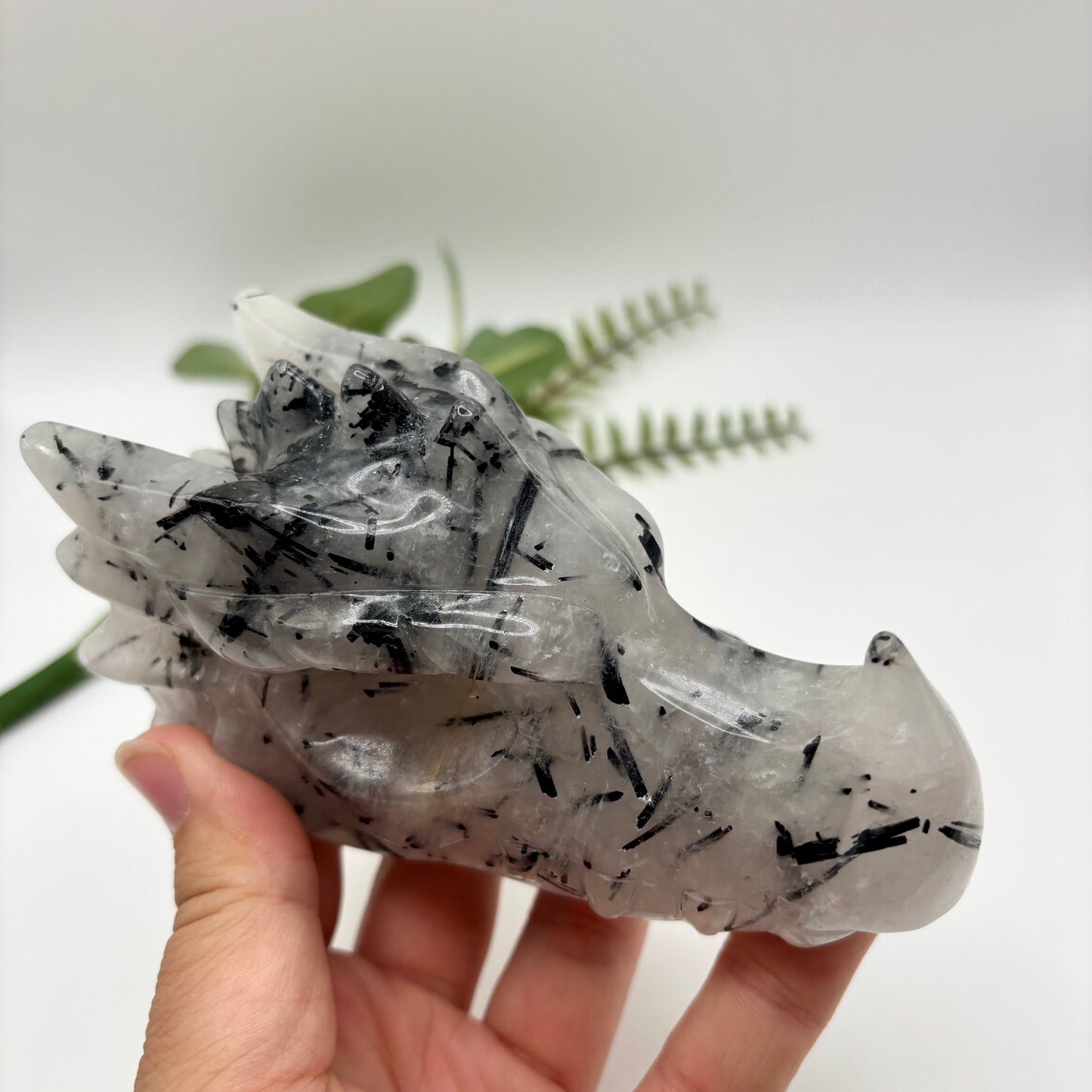 Black Tourmaline in Quartz Dragon Heads