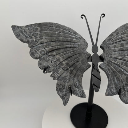 Leopard Jasper Wings
